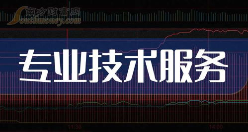 2025年12月31日全球領先的專業技術服務公司盤點 技術服務與技術開發雙輪驅動
